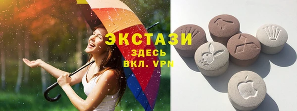СК Алексин