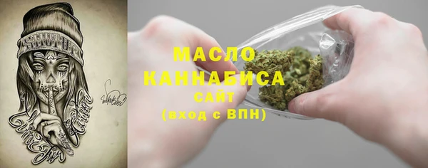 СК Алексин