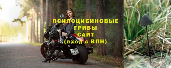 СК Алексин