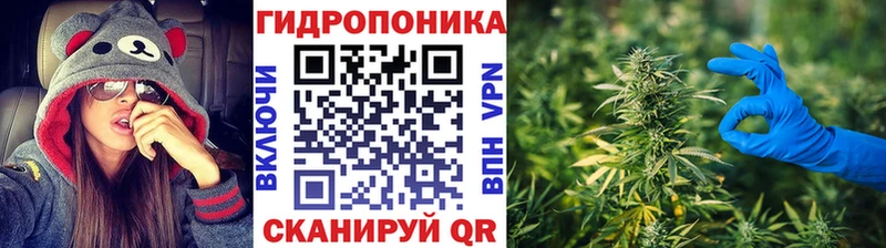 магазин продажи   kraken маркетплейс  Марихуана семена  Новосиль 
